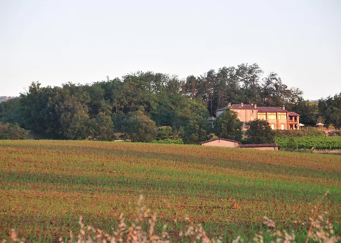 Bosco Dei Poveri * Agazzano
